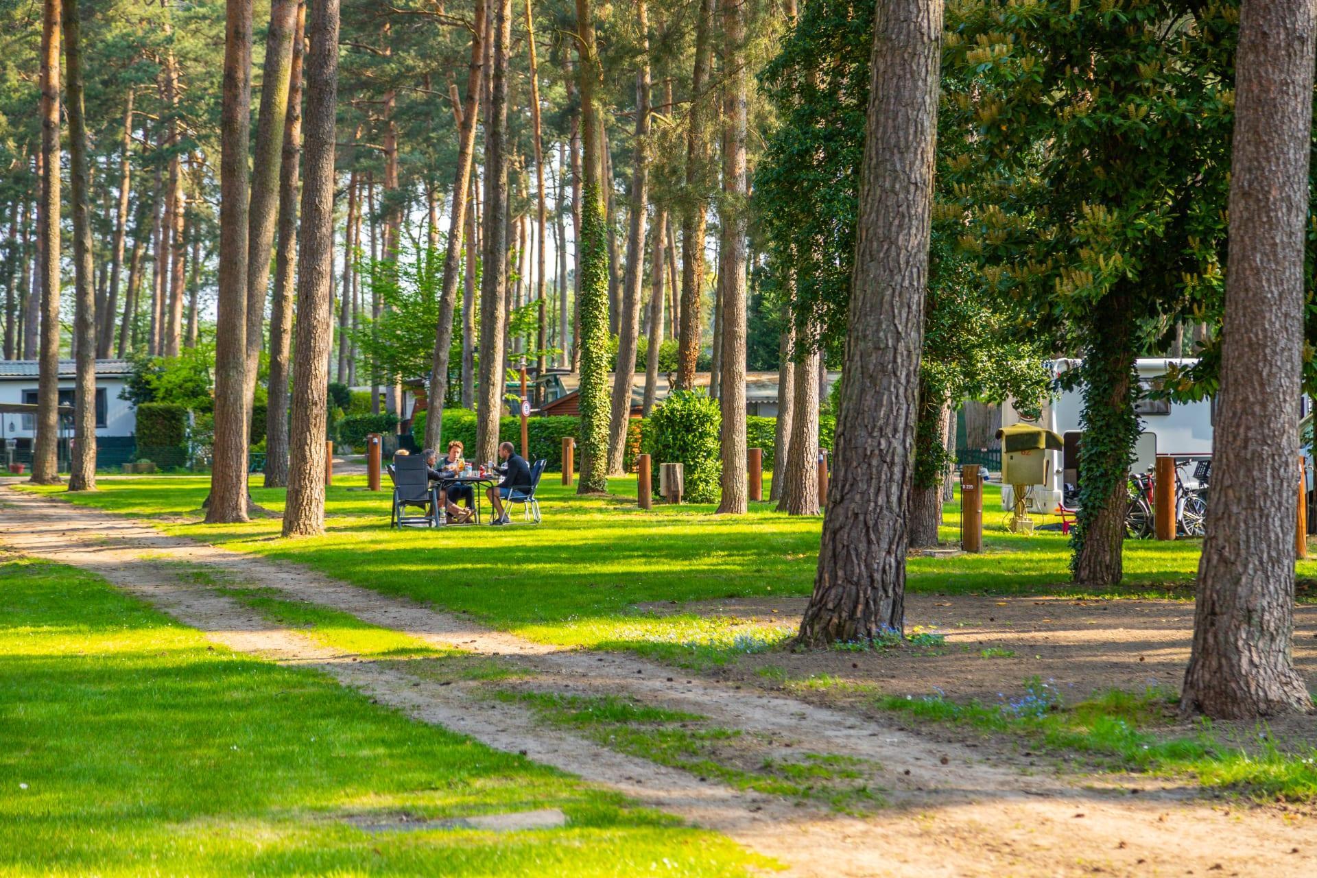 Accommodatie Hoge Kempen - Kampeerplaats - Kampeerplaats Comfort L - 4