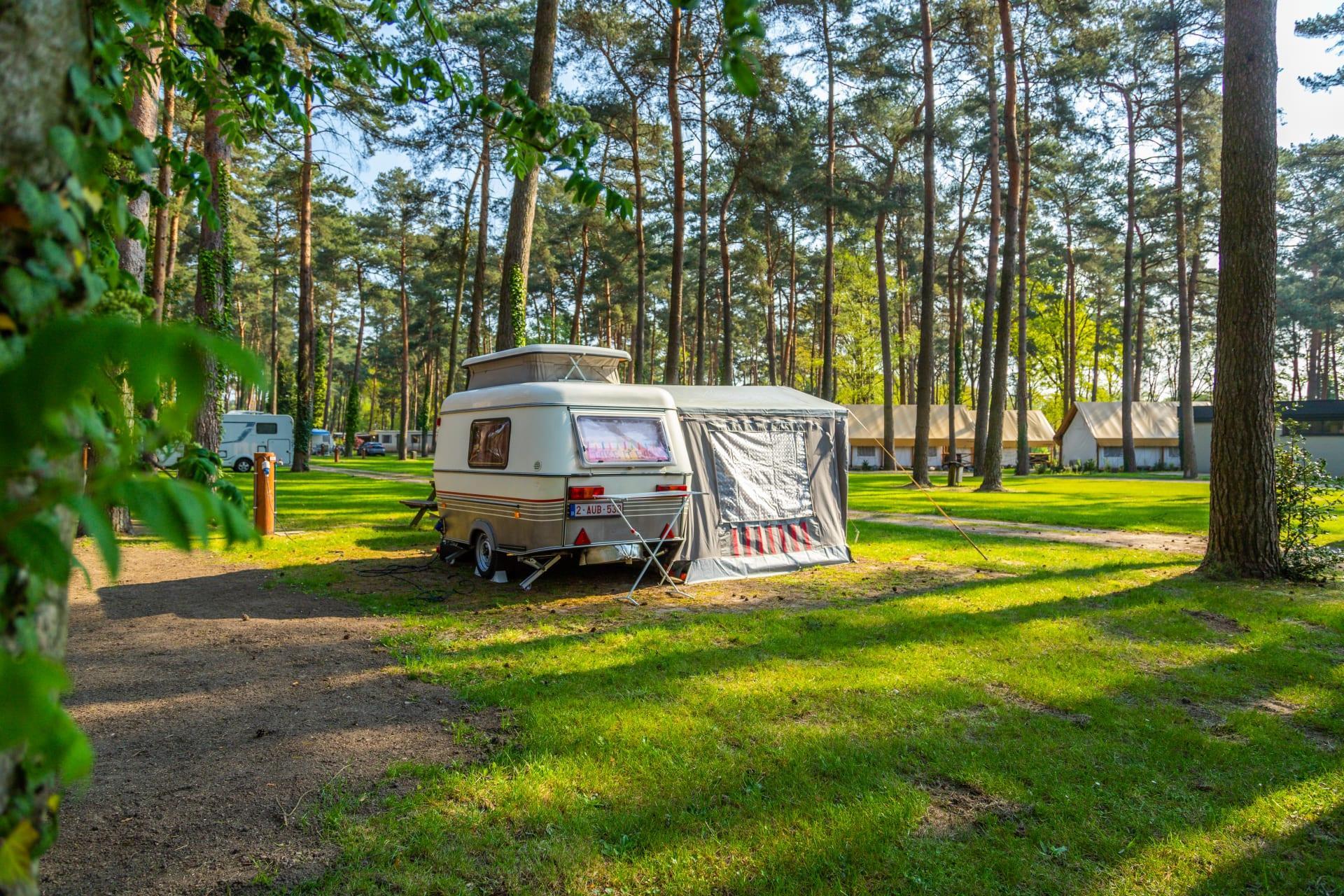 Accommodatie Hoge Kempen - Kampeerplaats - Kampeerplaats Comfort L - 6