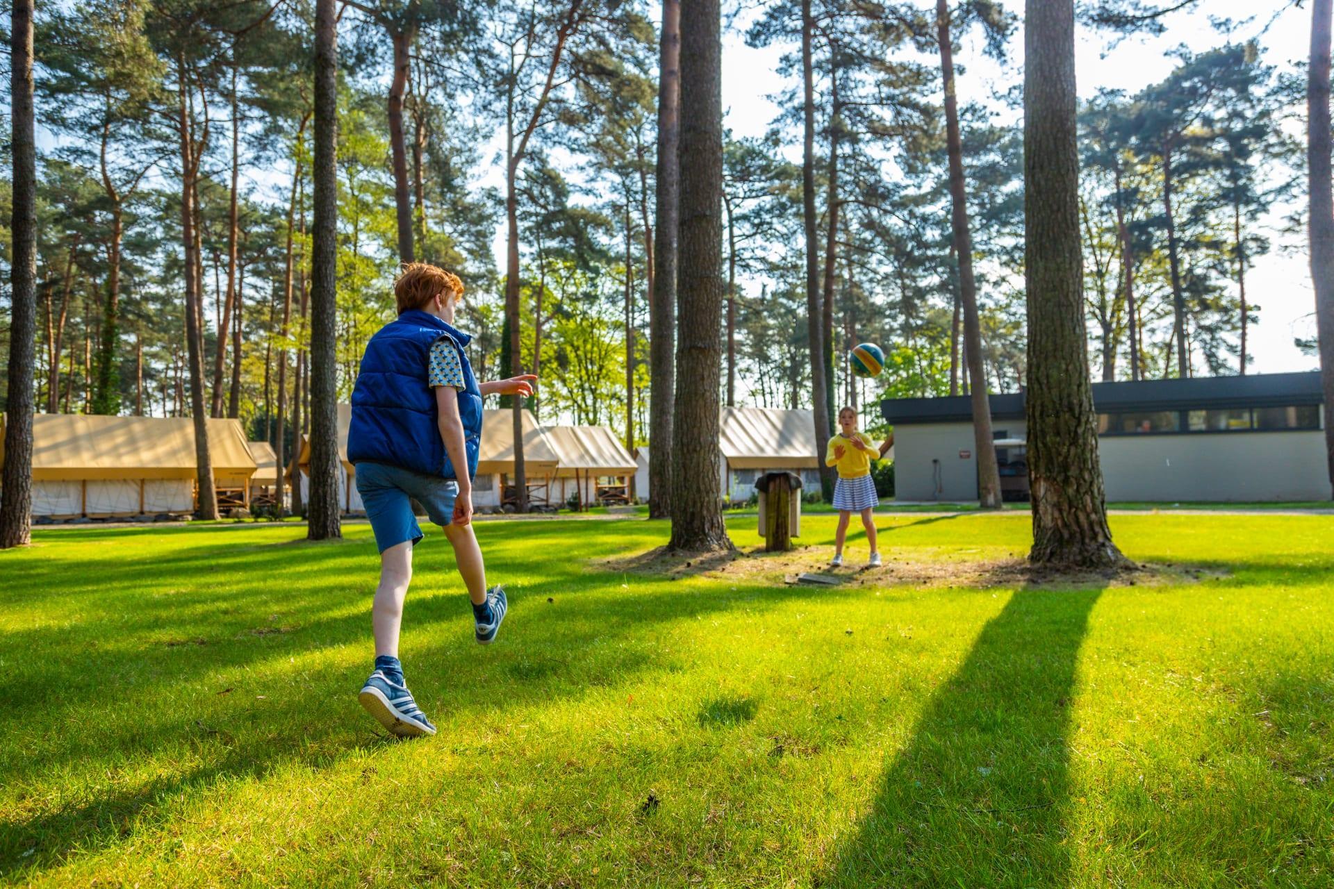 Accommodatie Hoge Kempen - Kampeerplaats - Kampeerplaats Comfort L - 12