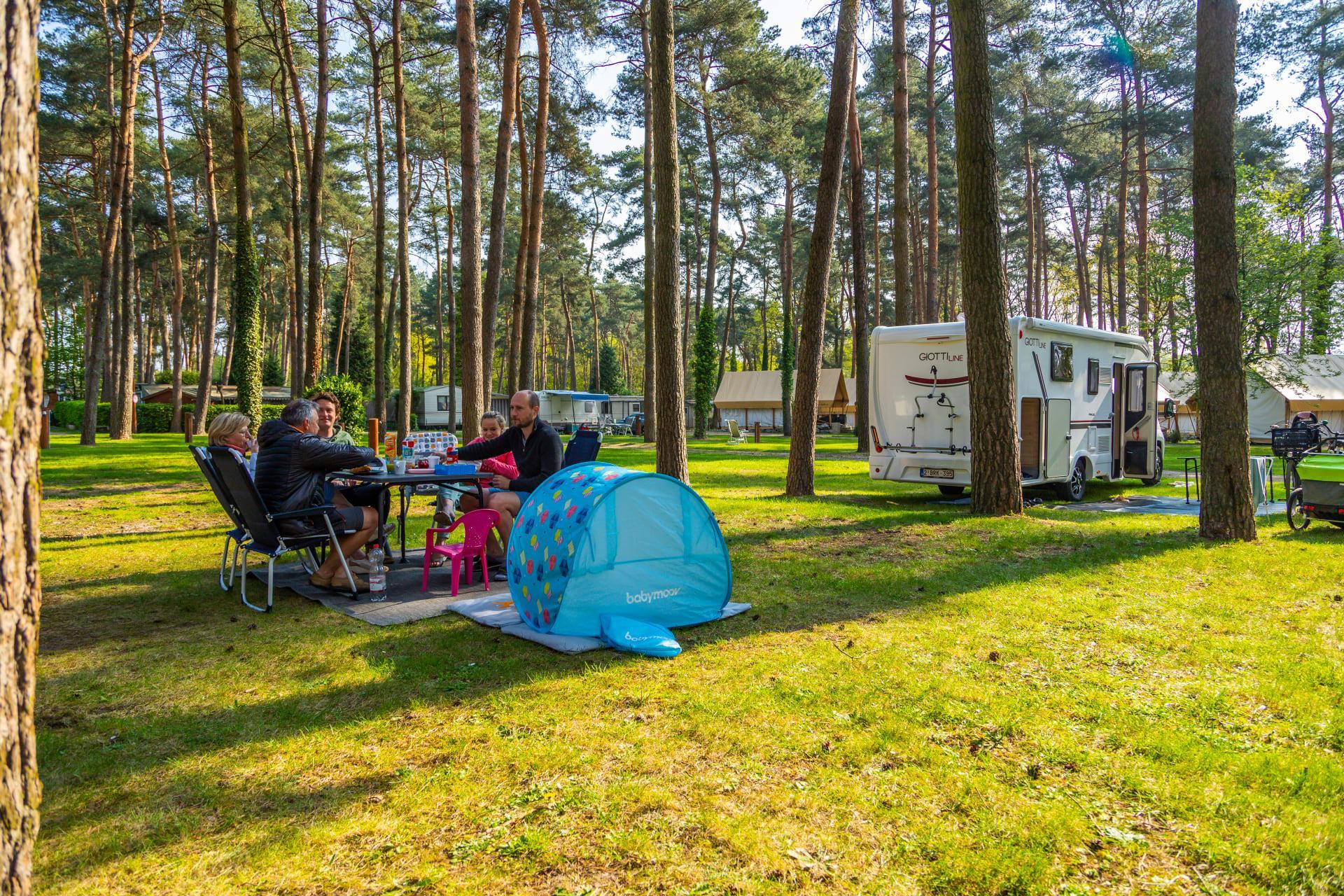 Accommodatie Hoge Kempen - Kampeerplaats - Kampeerplaats Comfort L - 11
