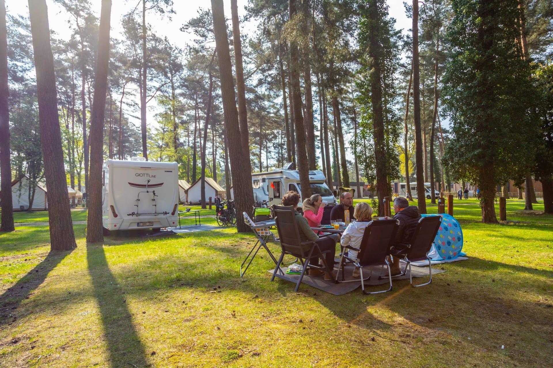 Accommodatie Hoge Kempen - Kampeerplaats - Kampeerplaats Comfort L - 7