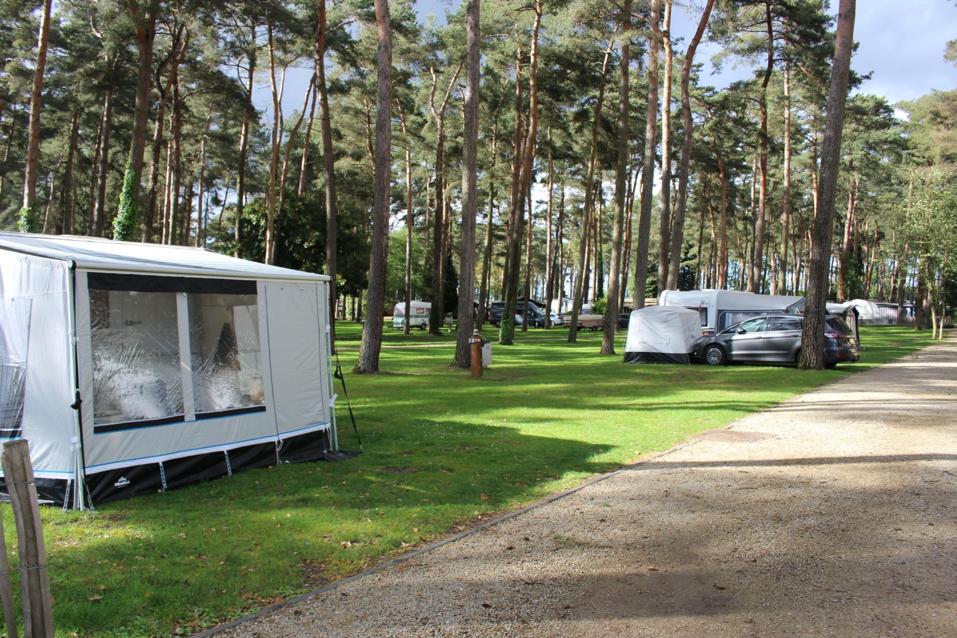 Accommodatie Hoge Kempen - Kampeerplaats - Kampeerplaats Comfort L - 10