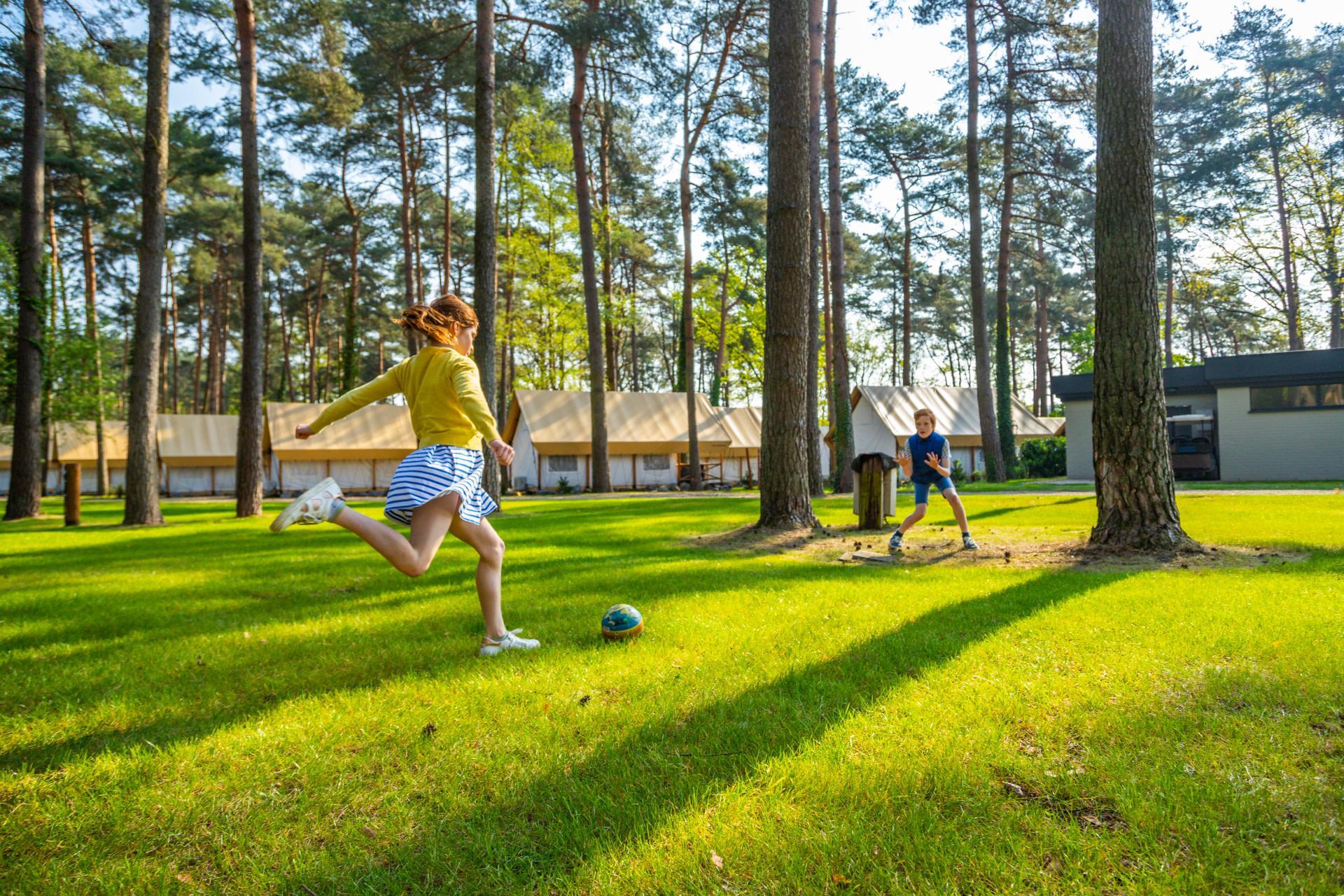 Accommodatie Hoge Kempen - Kampeerplaats - Kampeerplaats Comfort L - 5