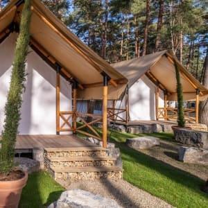 Accommodation Hoge Kempen - Glamping tent - Papendaal lodge 6 - 6