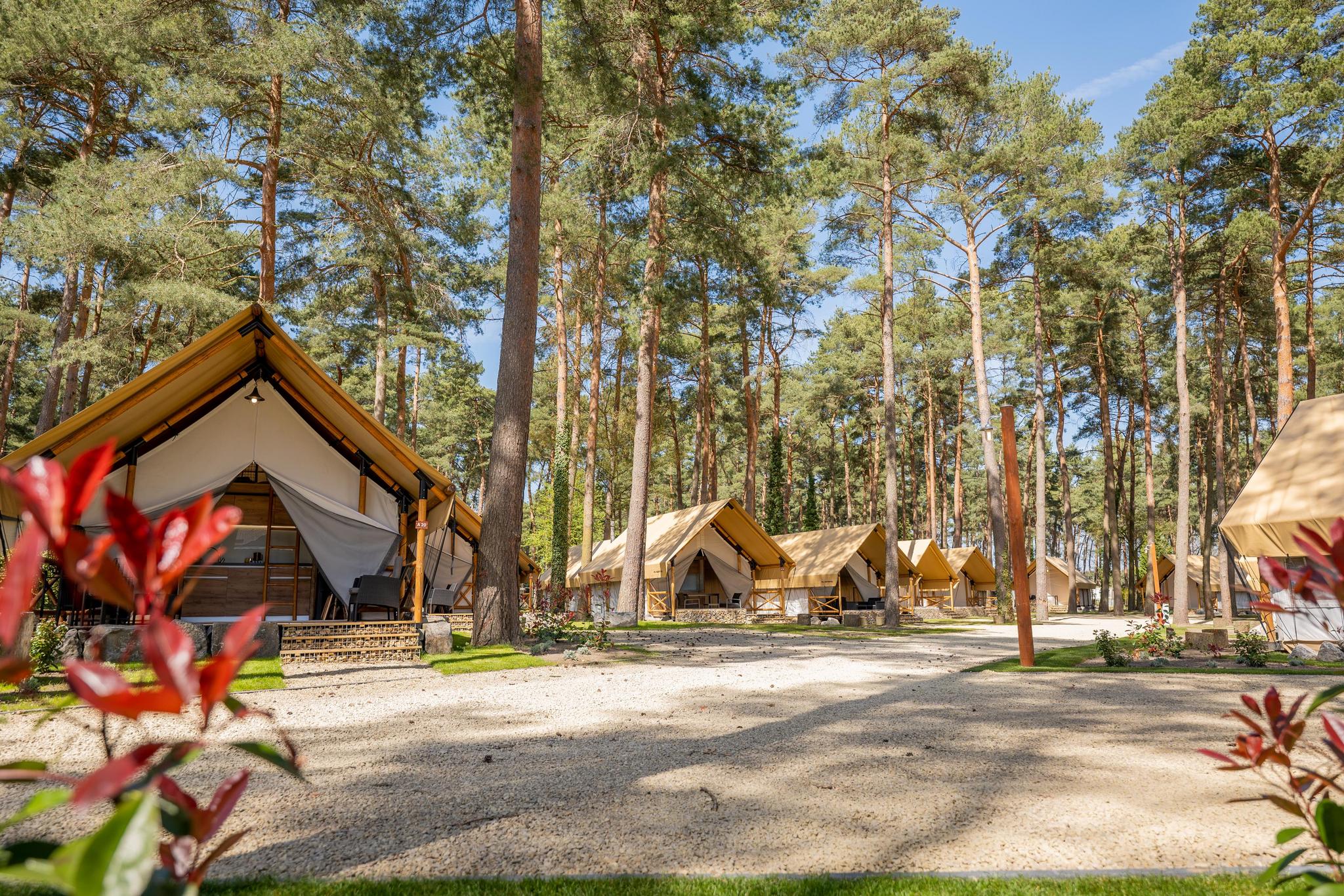 Accommodation Hoge Kempen - Glamping tent - Papendaal lodge 6 - 7