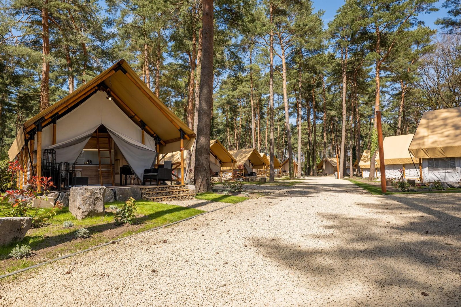 Accommodatie Hoge Kempen - Glampingtent - Papendaal lodge 6 - 8