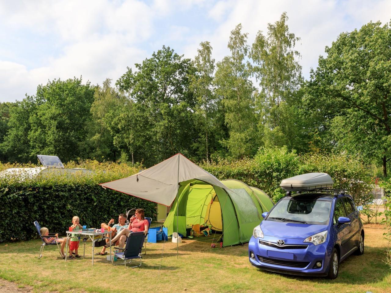 Geniet van een onvergetelijke vakantie op de Comfortplaatsen van Veluwepark De Bosgraaf. Ruime kampeerplekken midden in de Veluwe met uitstekende faciliteiten en prachtige natuur.