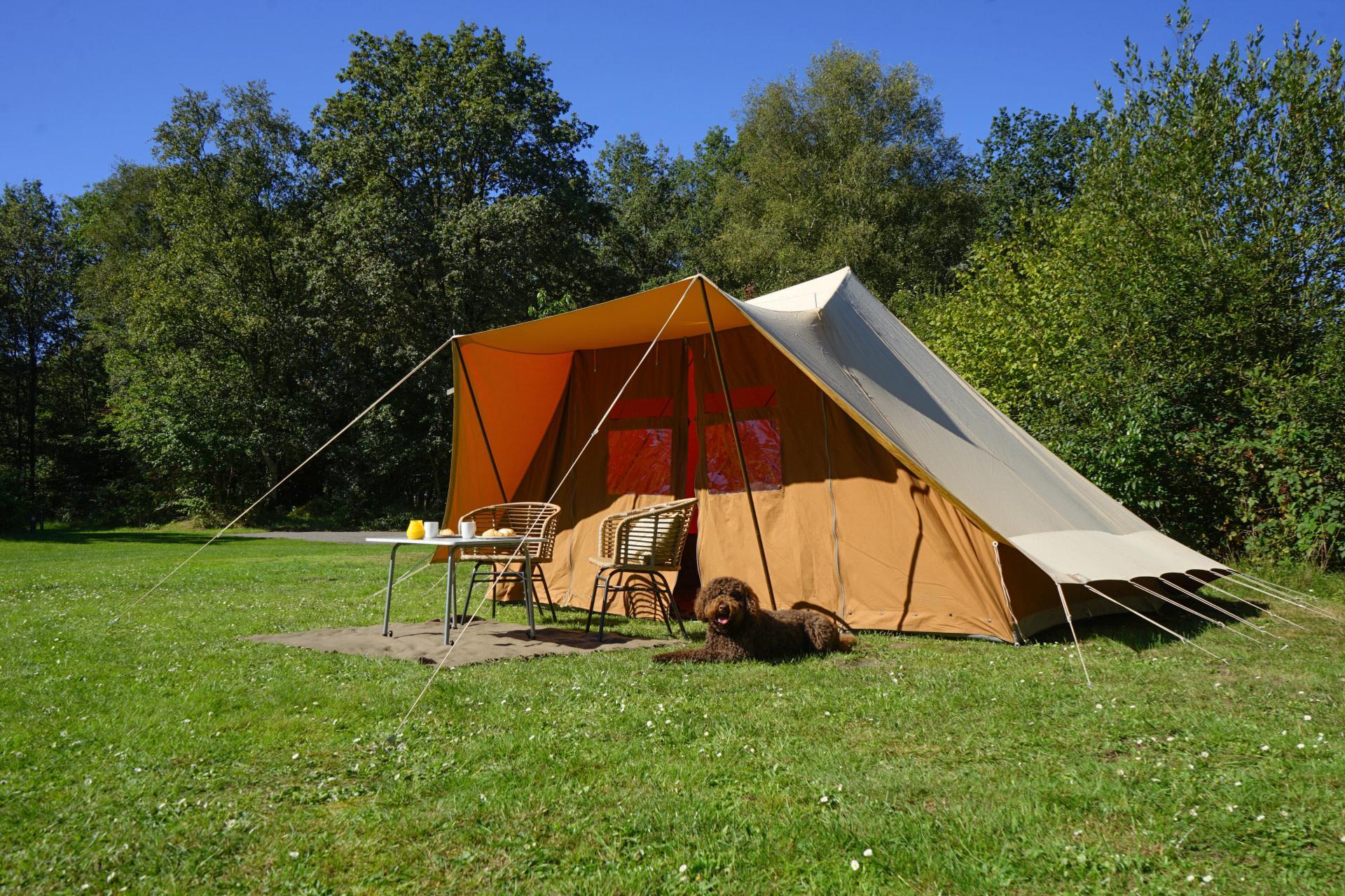 Unterkünfte Secret Parcs - Camping Stellplatz - Komfort Stellplatz - 4