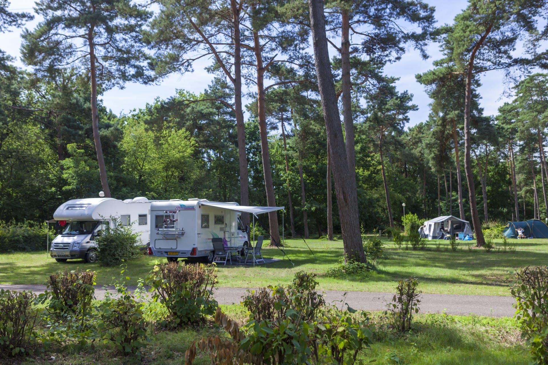 Unterkünfte Secret Parcs - Camping Stellplatz - Komfort Stellplatz - 6
