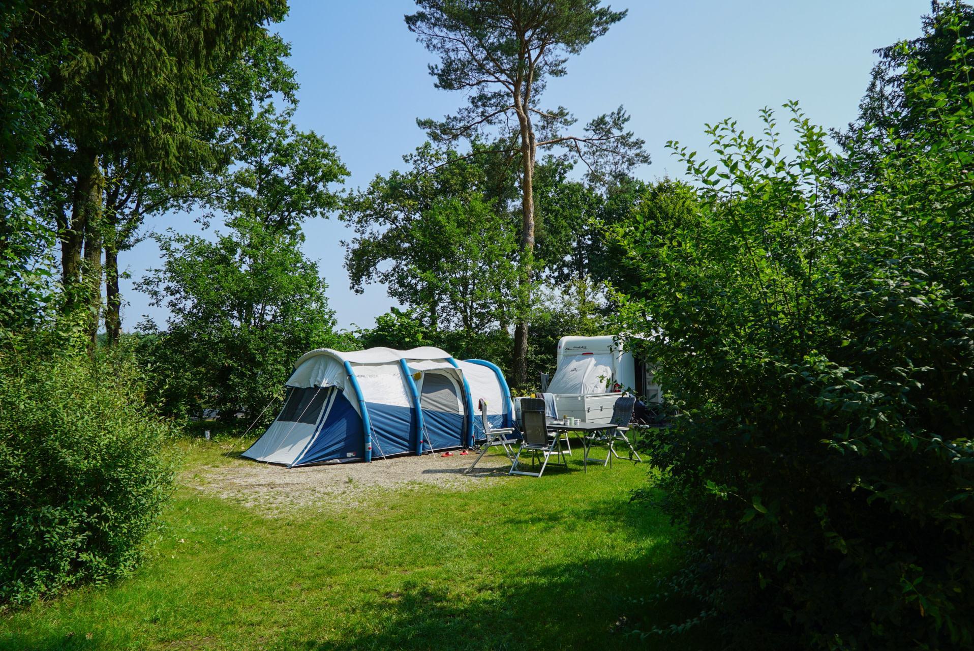 Unterkünfte Secret Parcs - Camping Stellplatz - Komfort Stellplatz - 7