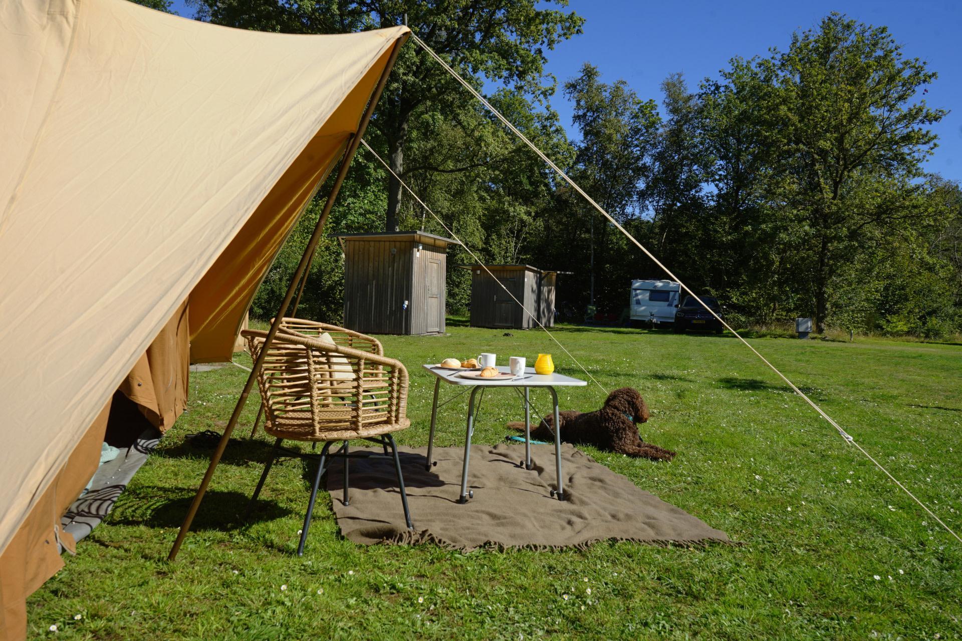 Unterkünfte Secret Parcs - Camping Stellplatz - Komfort Stellplatz - 8
