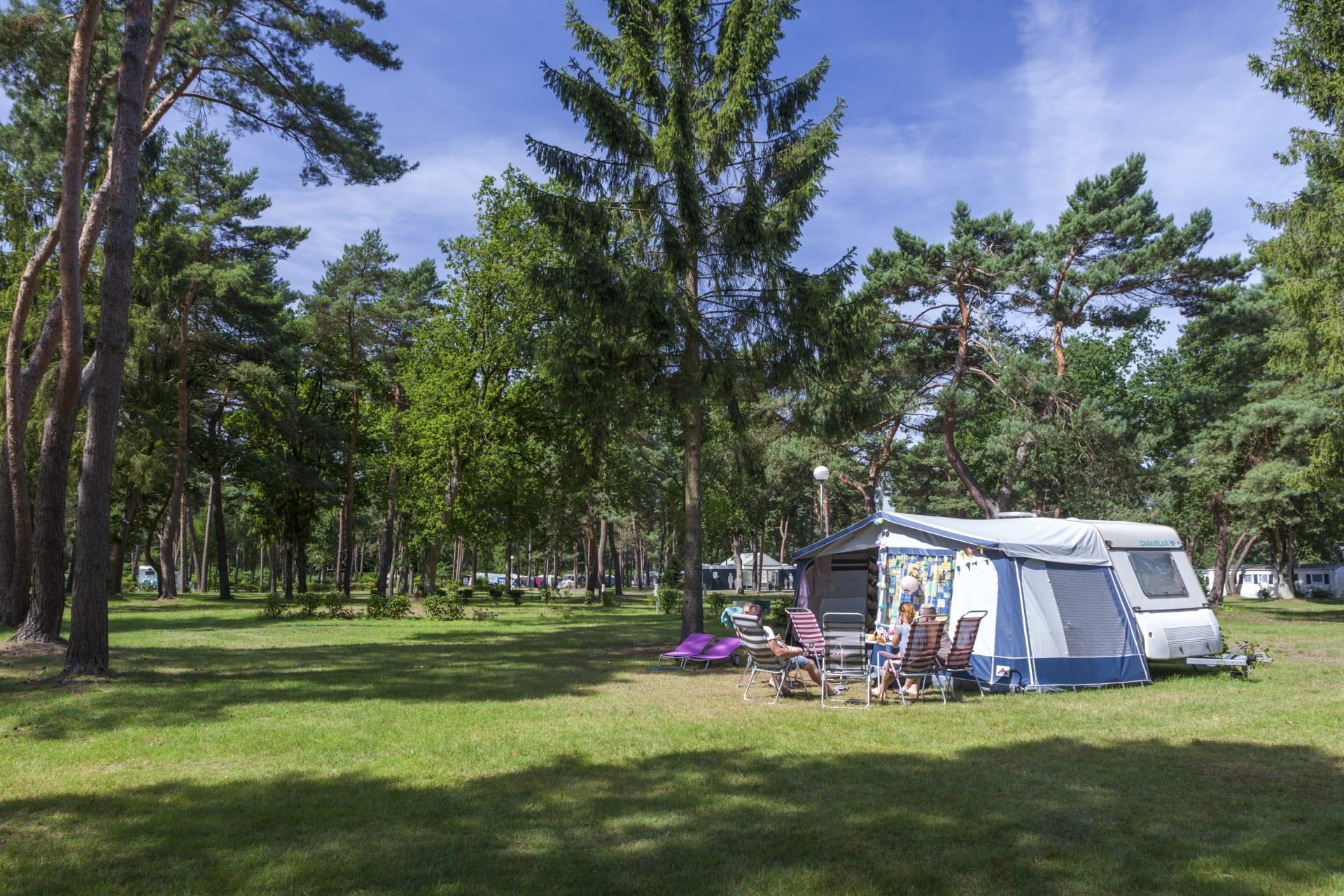 Accommodatie Zilverstrand - Kampeerplaats - Kampeerplaats Comfort - 7