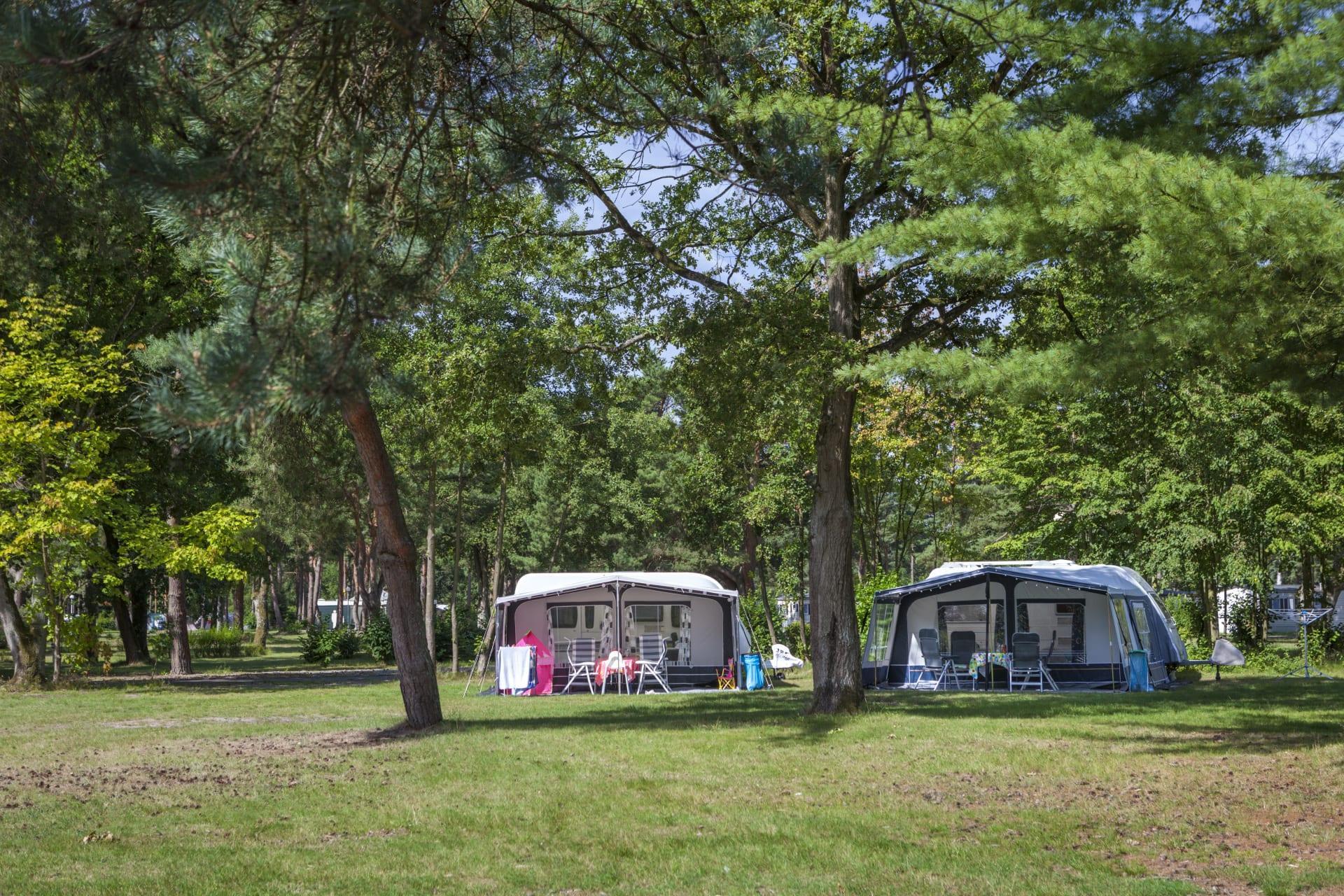 Accommodatie Zilverstrand - Kampeerplaats - Kampeerplaats Comfort - 6