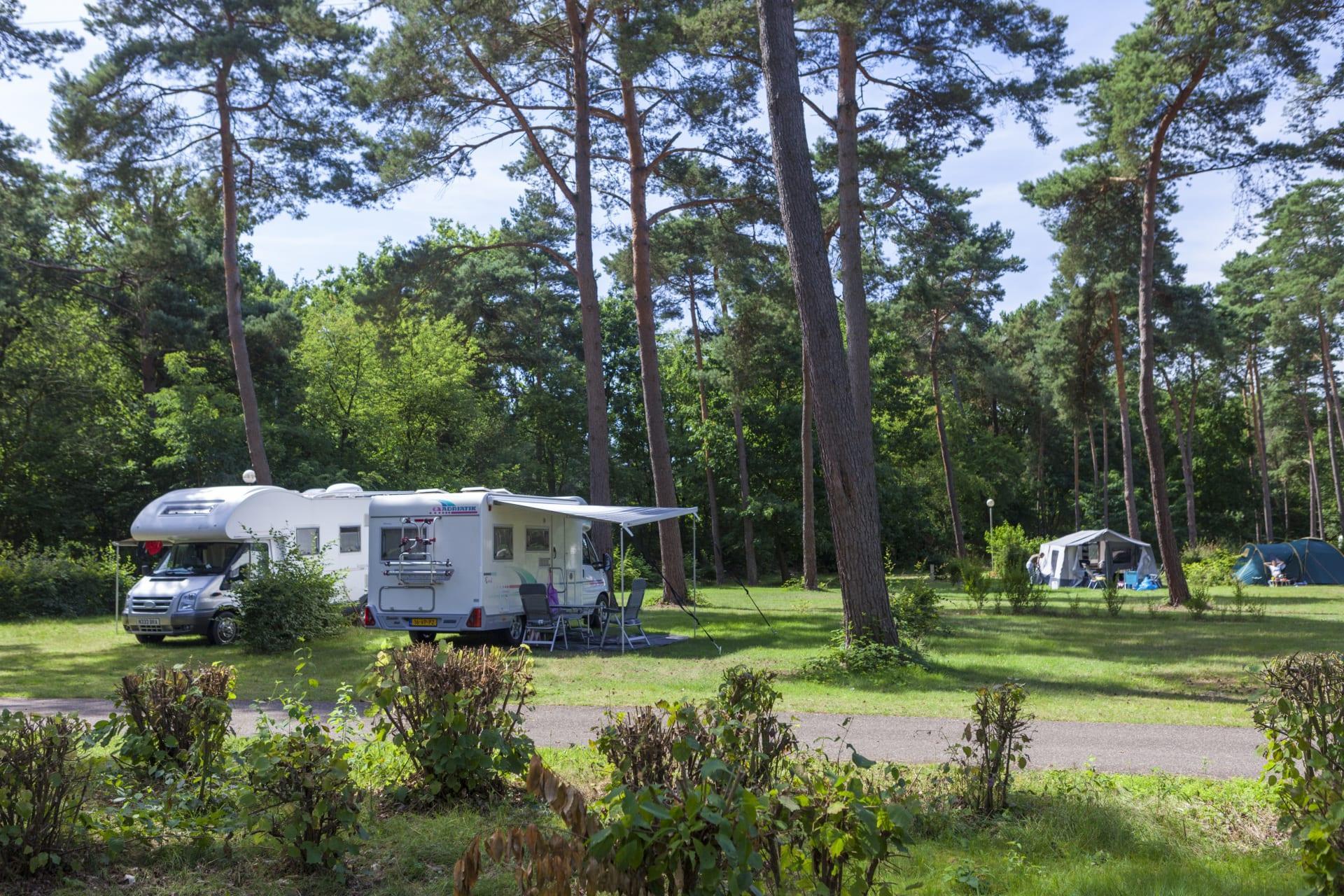Accommodatie Zilverstrand - Kampeerplaats - Kampeerplaats Comfort - 3