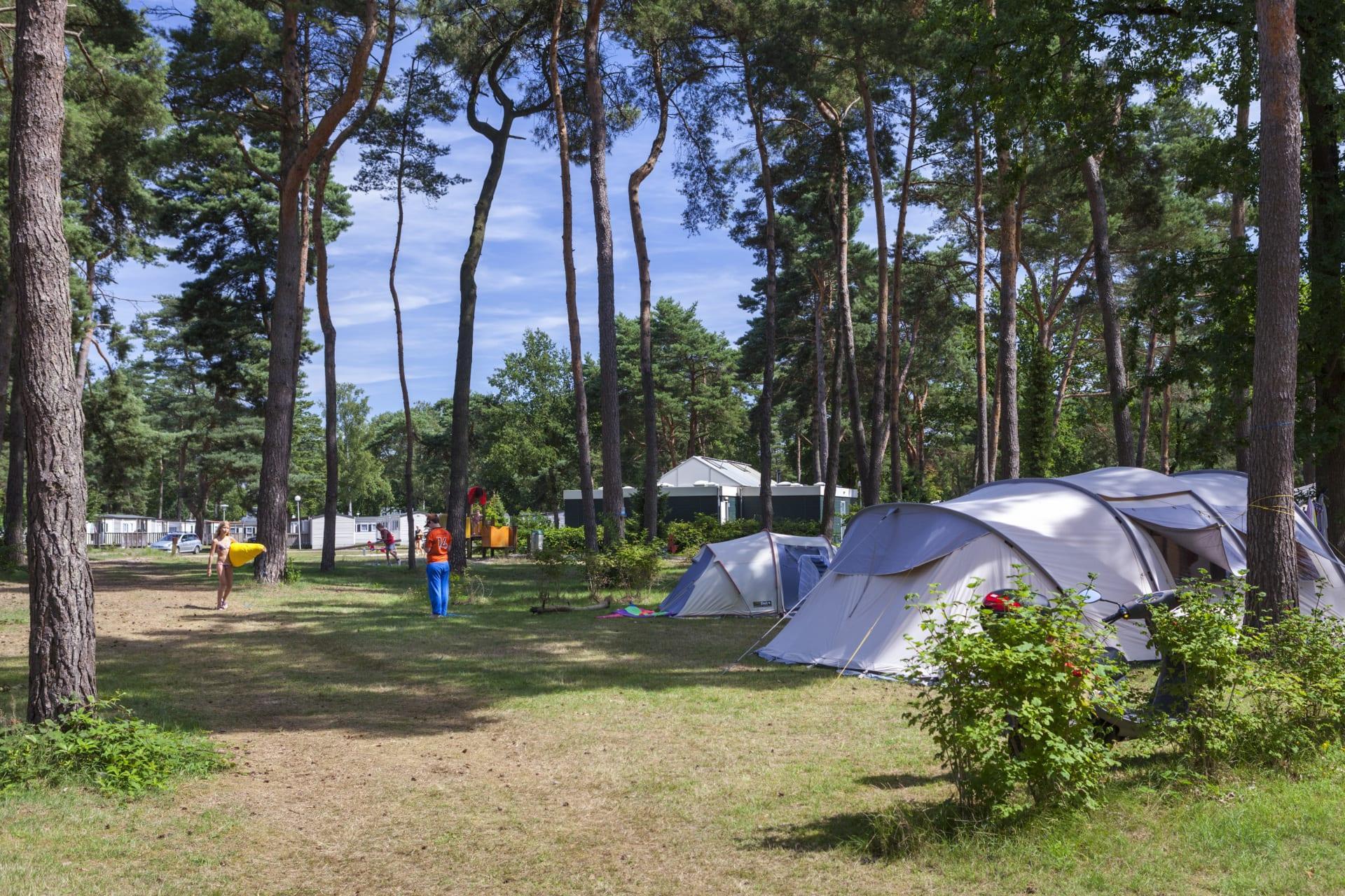 Accommodatie Zilverstrand - Kampeerplaats - Kampeerplaats Comfort - 4
