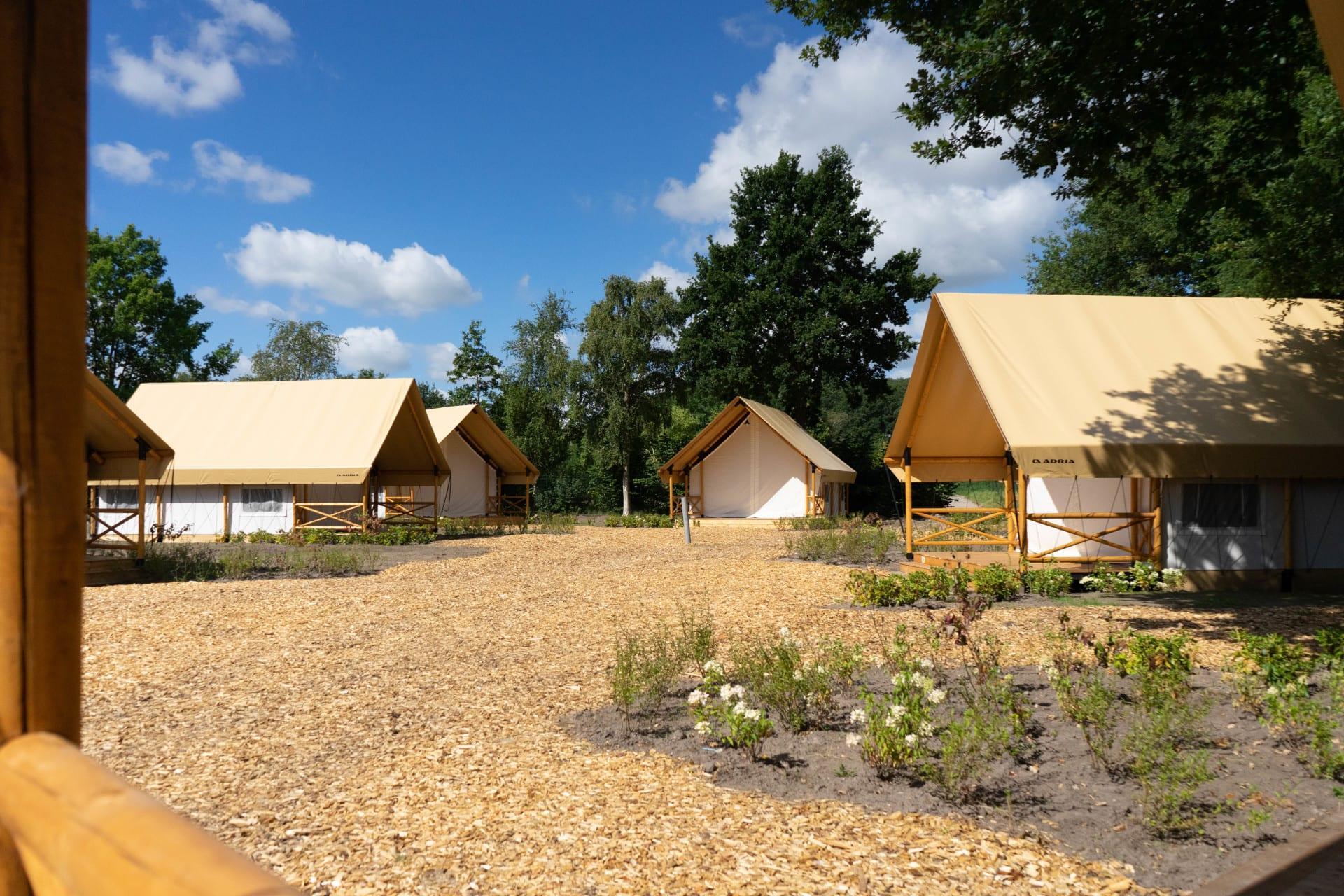 Accommodation Zilverstrand - Glamping tent - Kiezel Lodge 4 - 3