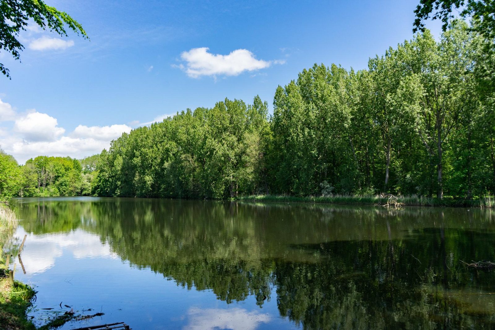 Accommodatie Het Amsterdamse Bos - Kampeerplaats - Camperplaats Standaard L aan het water - 2