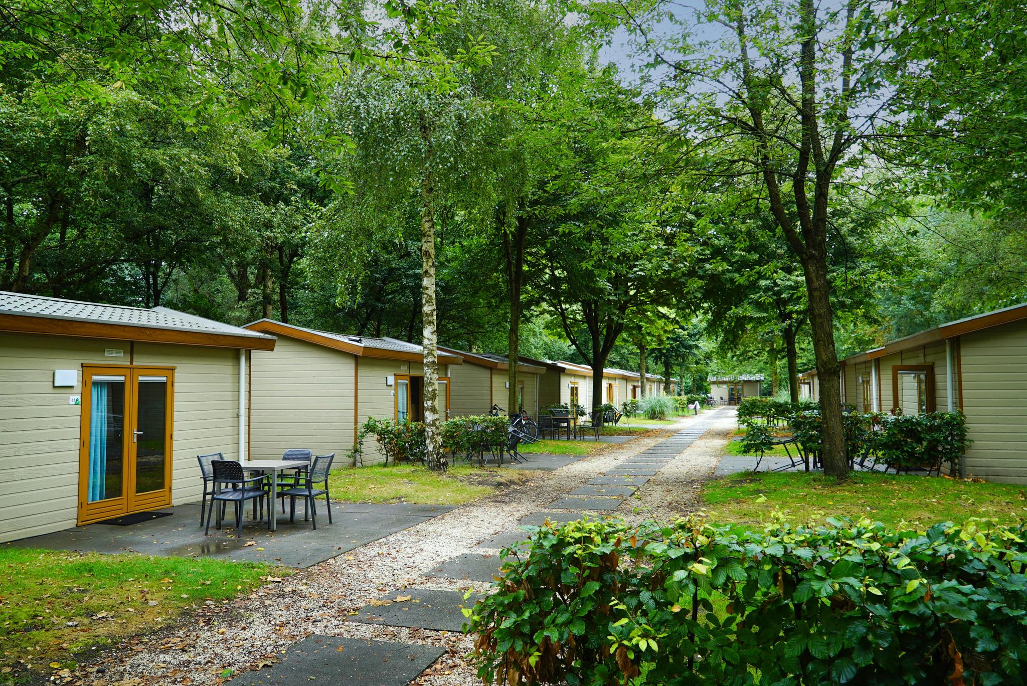 Unterkünfte Het Amsterdamse Bos - Wanderhütte - Forest Lodge 4 - 11