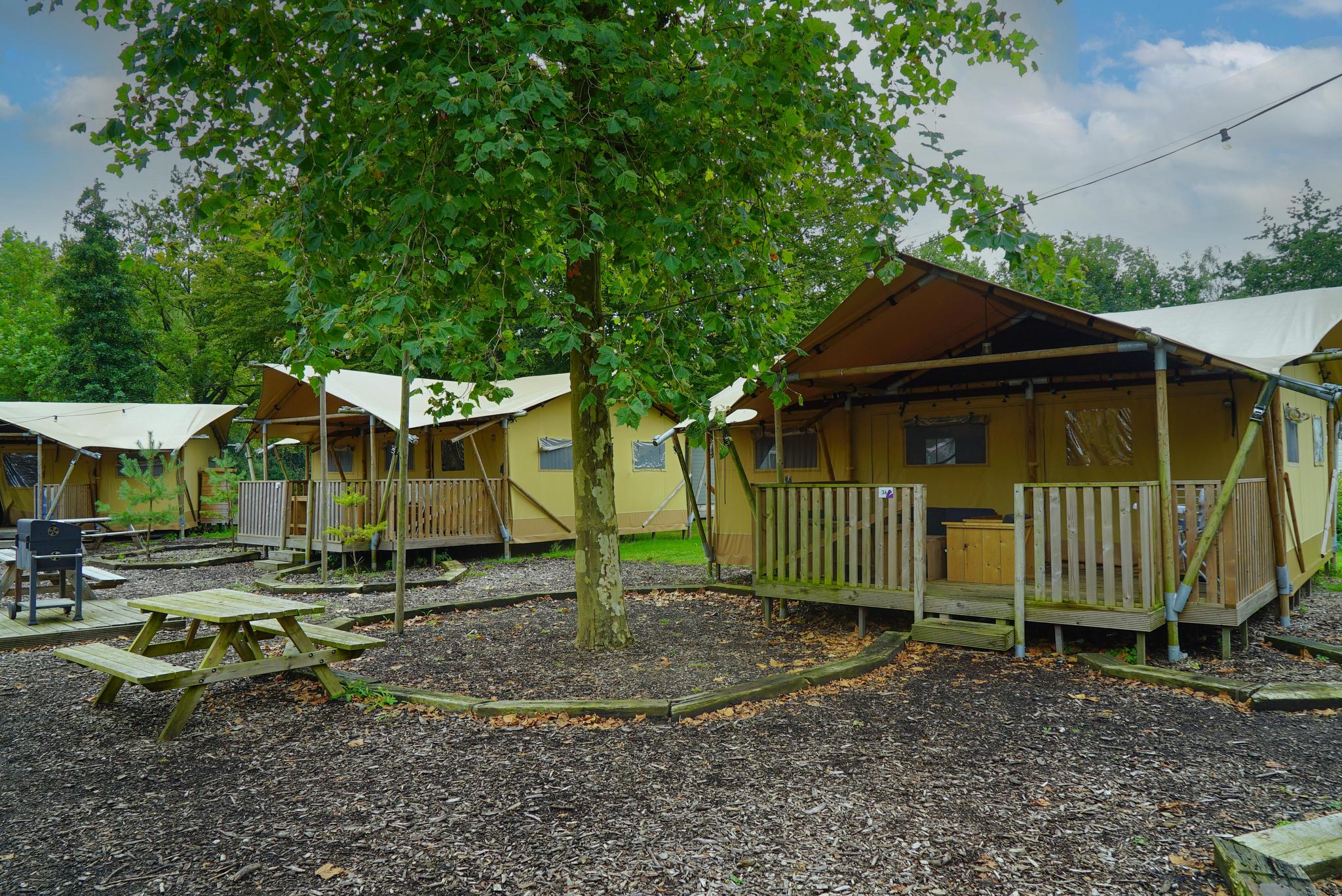 Unterkünfte Het Amsterdamse Bos - Glamping-Zelt - Glamping Zelt 6 - 15