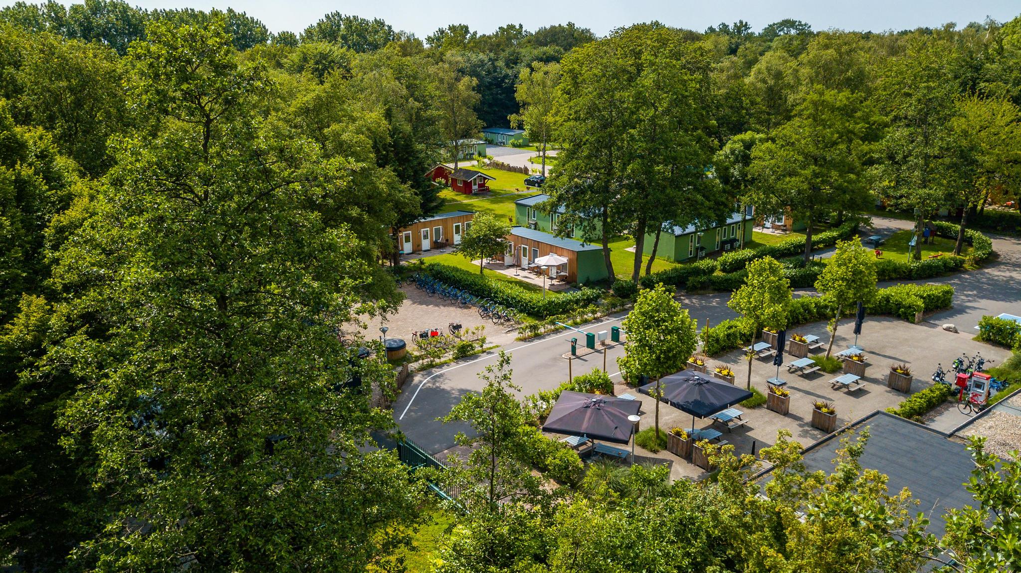 Accommodatie Het Amsterdamse Bos - Kampeerplaats - Kampeerplaats Standaard - 5