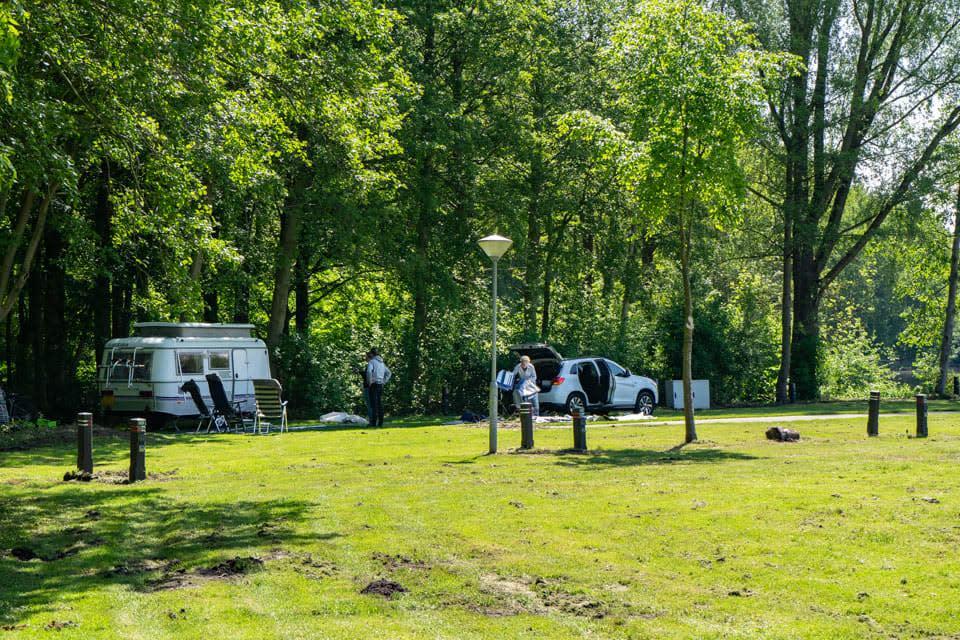 Accommodation Het Amsterdamse Bos - Camping pitch - Camping pitch Standard Tent - 8