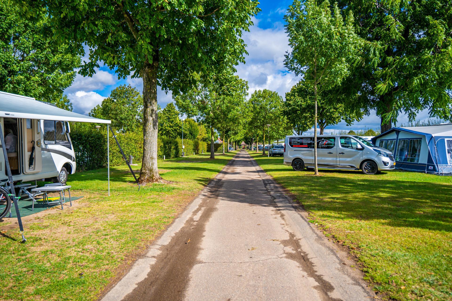 Accommodation Poort van Maastricht - Camping pitch - Camping pitch Comfort - 3