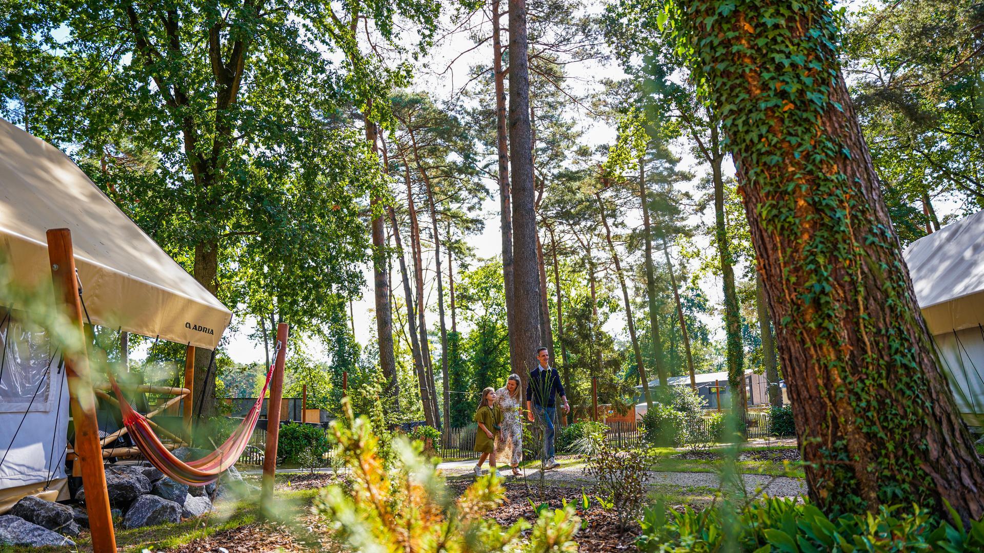 Accommodation Hoge Kempen - Glamping tent - Papendaal lodge 6 - 12
