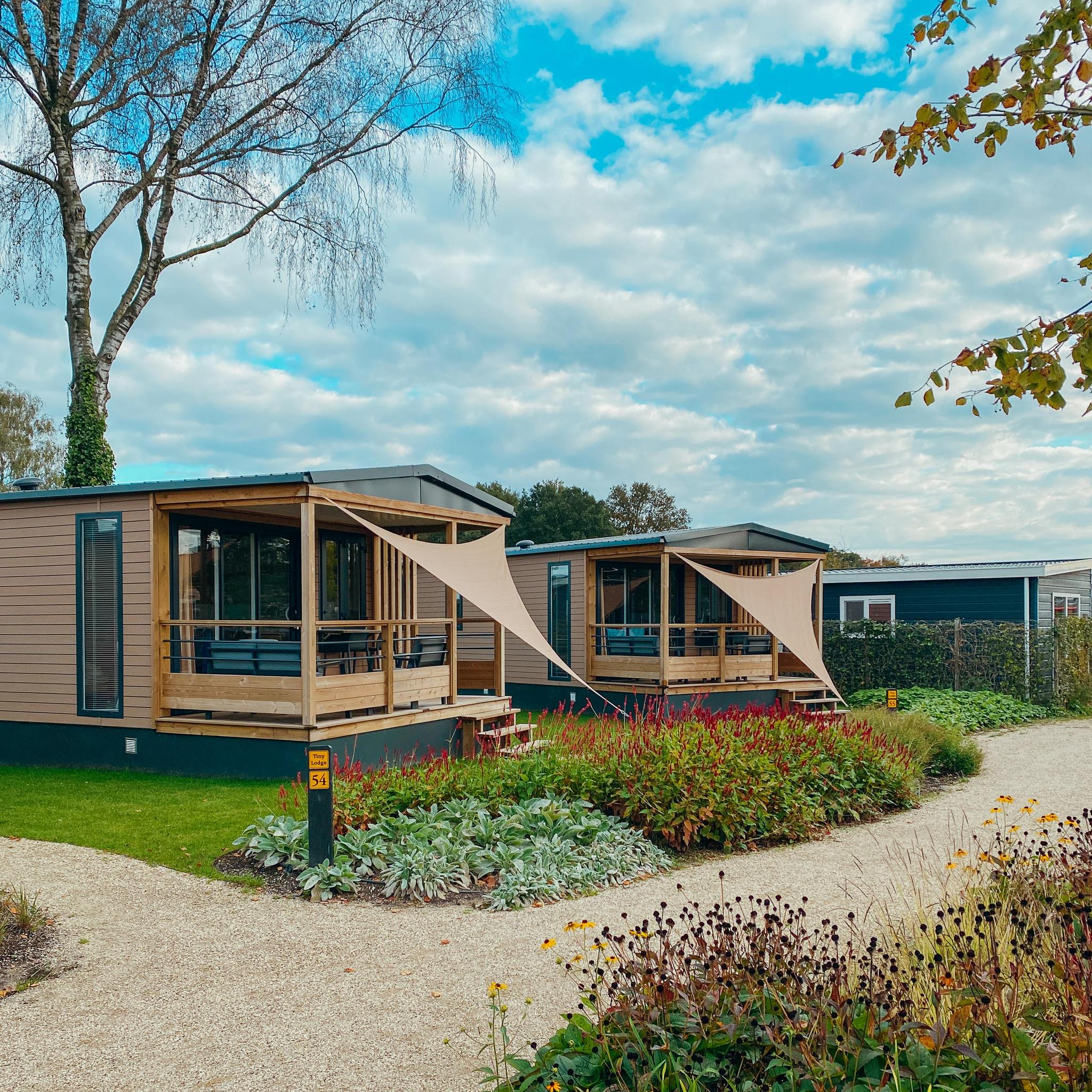 Geniet van een unieke groepsvakantie in het Tiny Hofje op Recreatiepark De Boshoek, met drie knusse lodges voor 12 personen op de Veluwe.