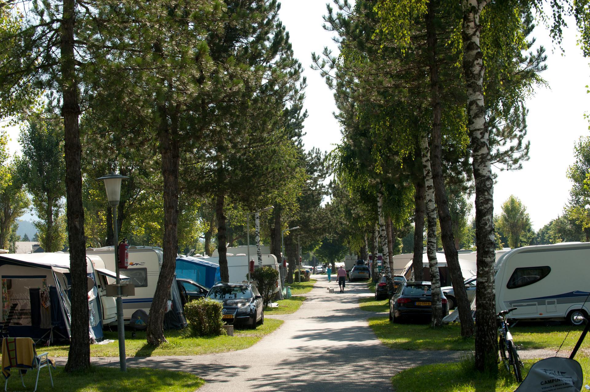 Unterkünfte Hermagor-Nassfeld - Camping Stellplatz - Campingplatz Standard - 4