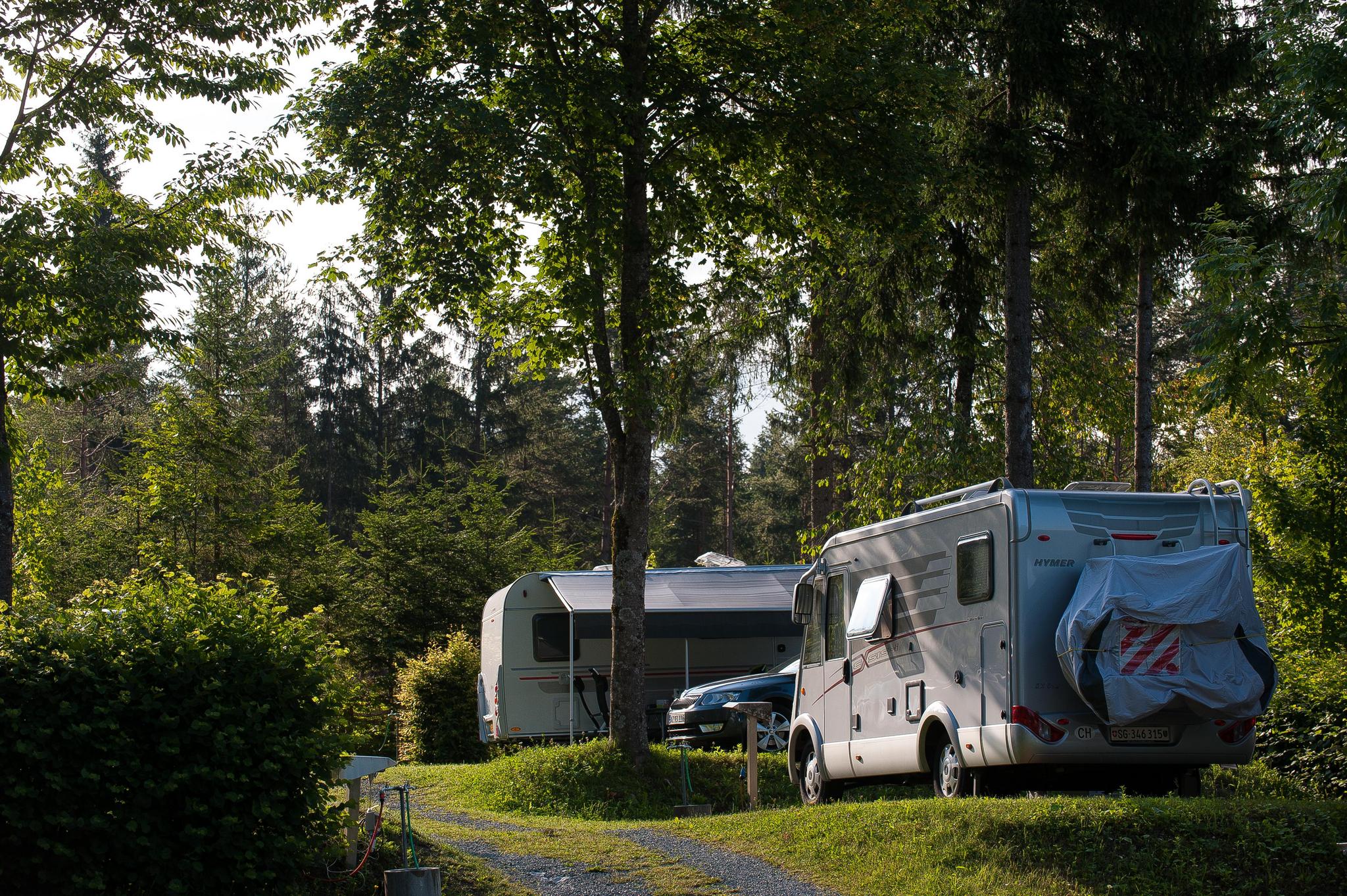 Accommodation Pressegger See - Camping pitch - Camping pitch Comfort - 13