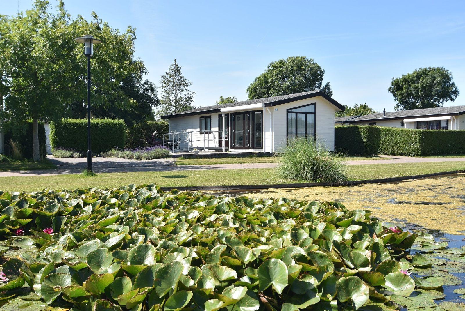Unterkünfte De Woudhoeve - Chalet - Komfort 4 Personen, barrierefrei - 3