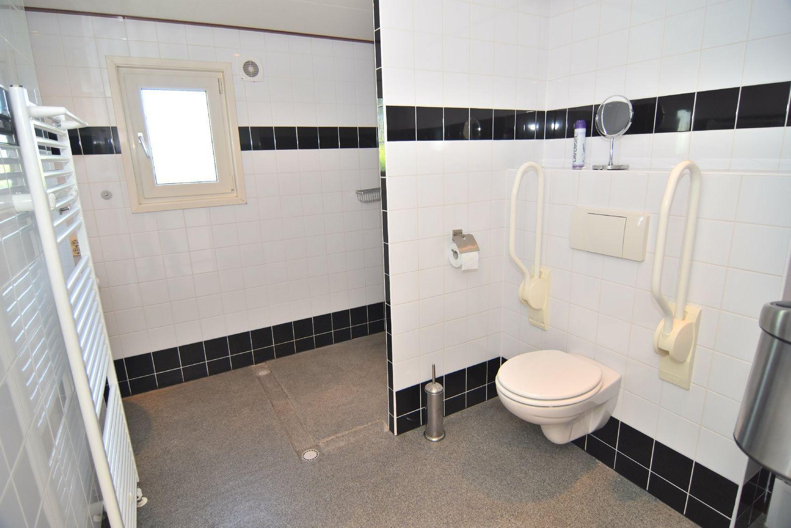Unterkünfte De Woudhoeve - Chalet - Komfort 4 Personen, barrierefrei - 7