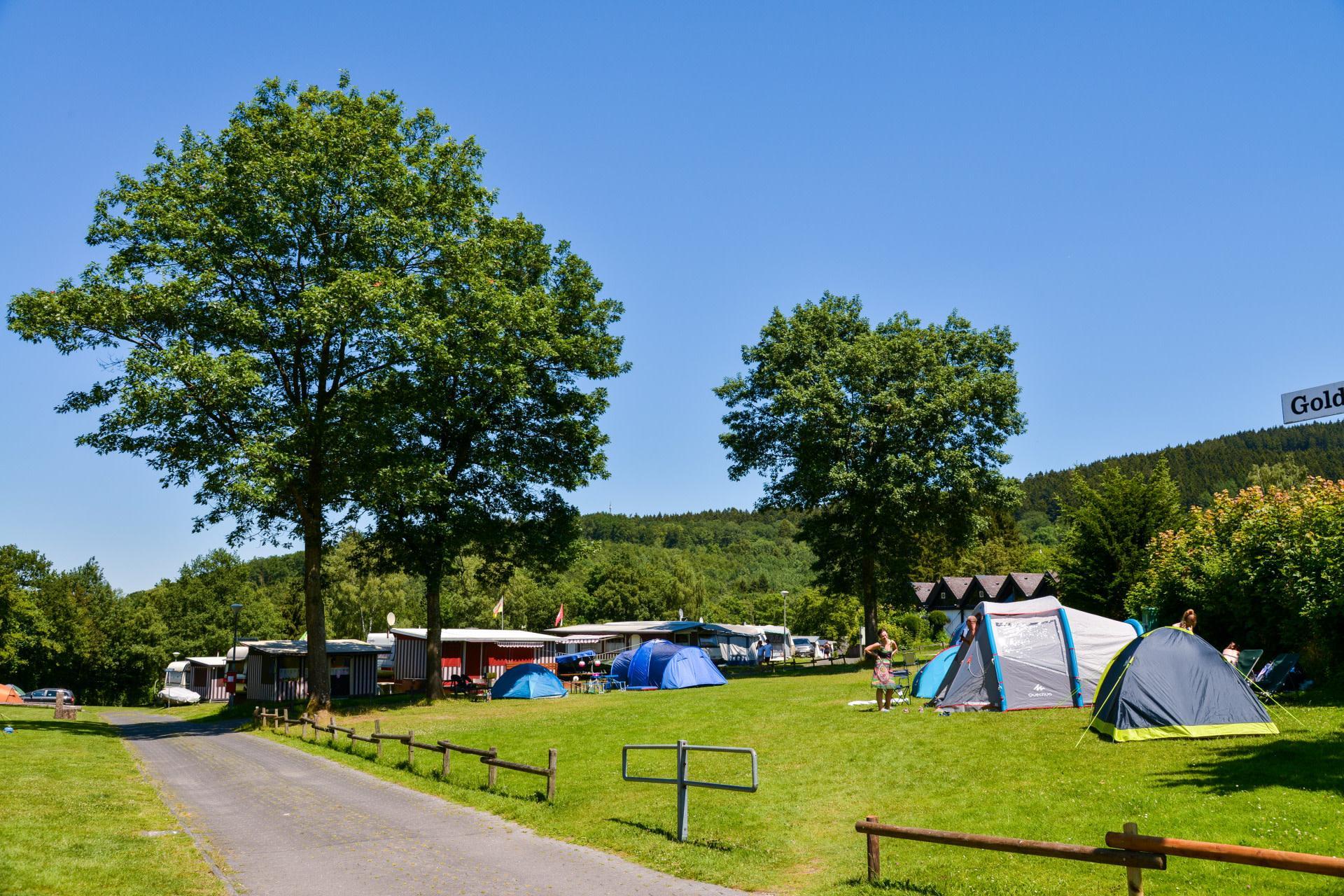 Unterkünfte Biggesee - Camping Stellplatz - Stellplatz Standard - 5