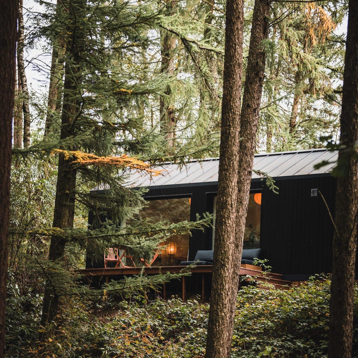 Koya Tiny Cabin | 2 Pers. 