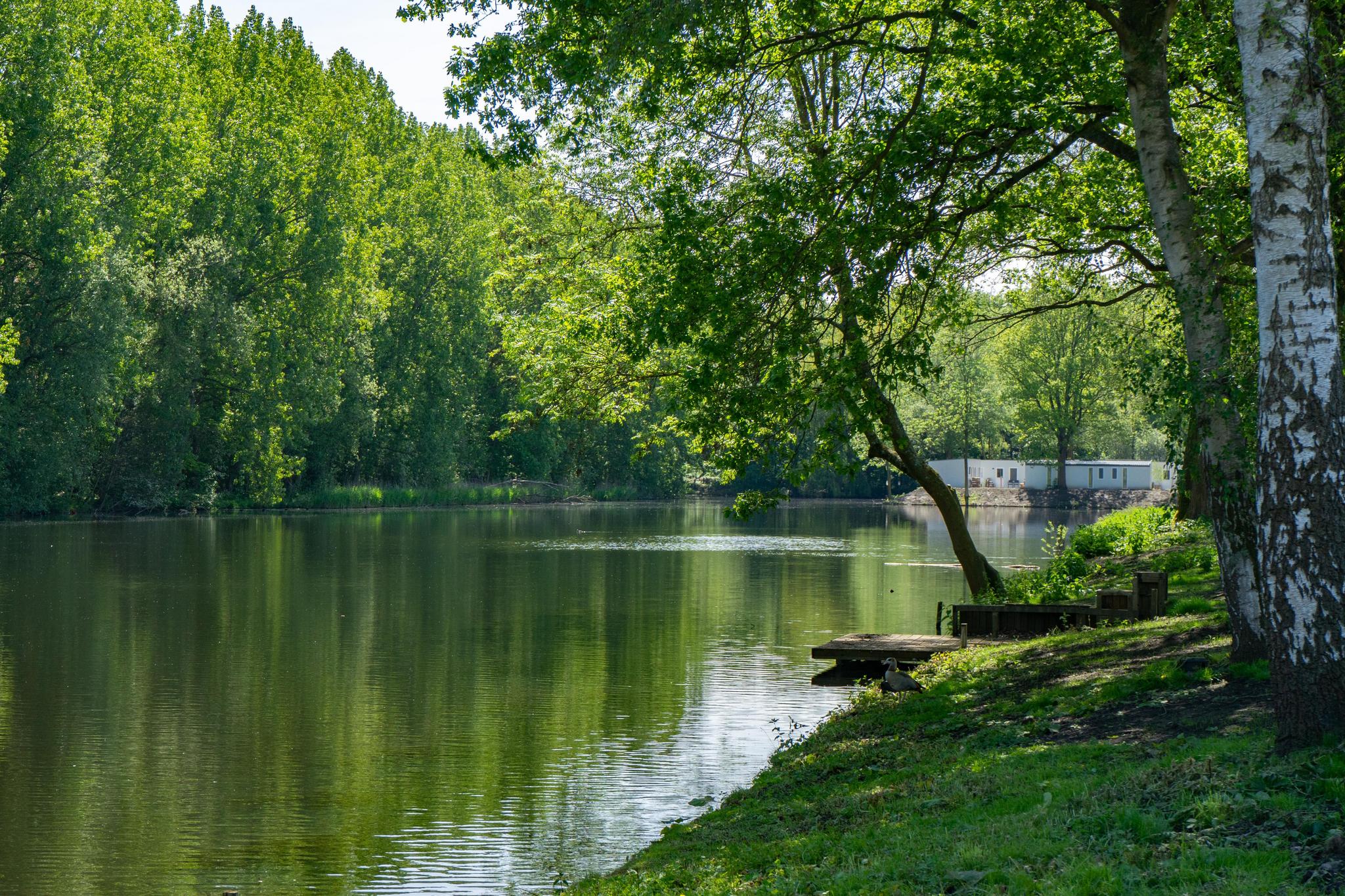 Accommodatie Het Amsterdamse Bos - Kampeerplaats - Camperplaats Comfort L aan het water - 12