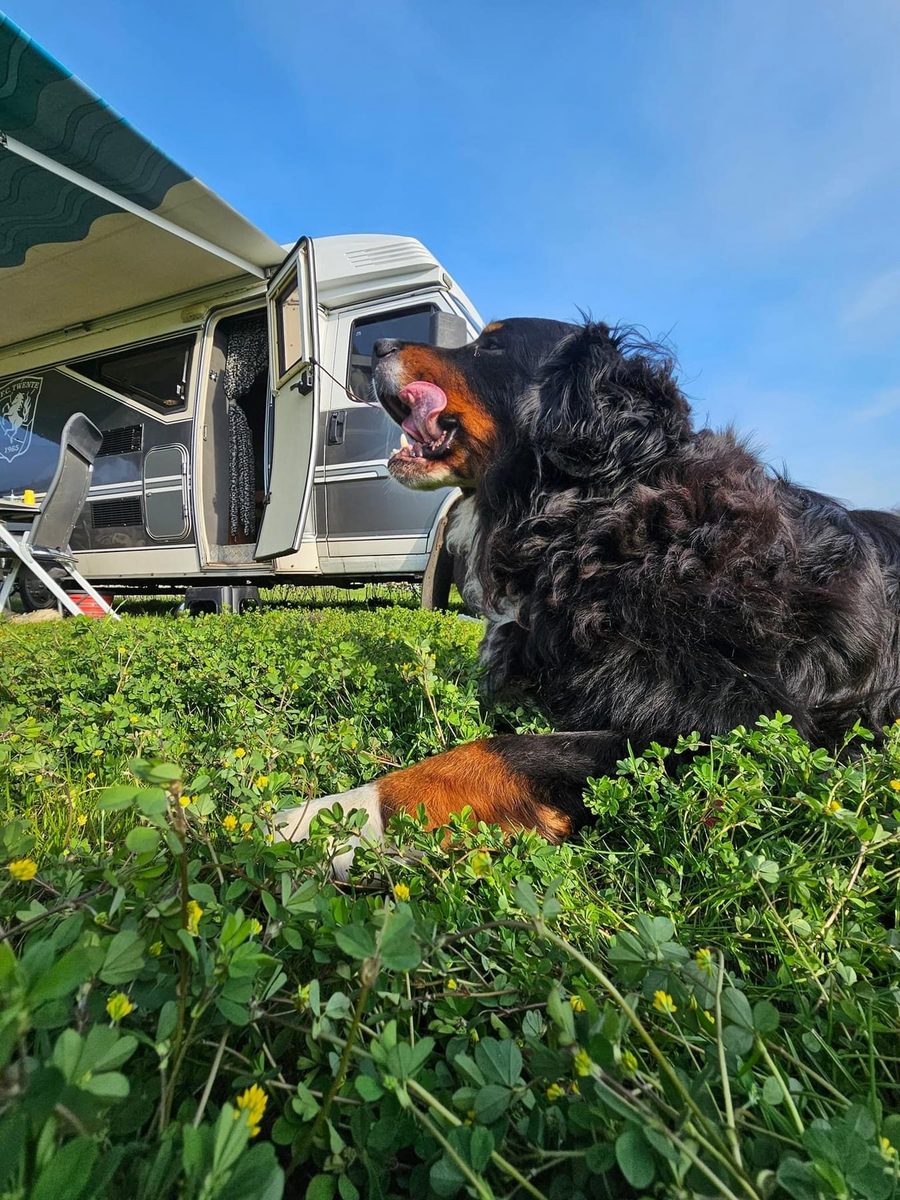 Camperplaats 'Op de Green'