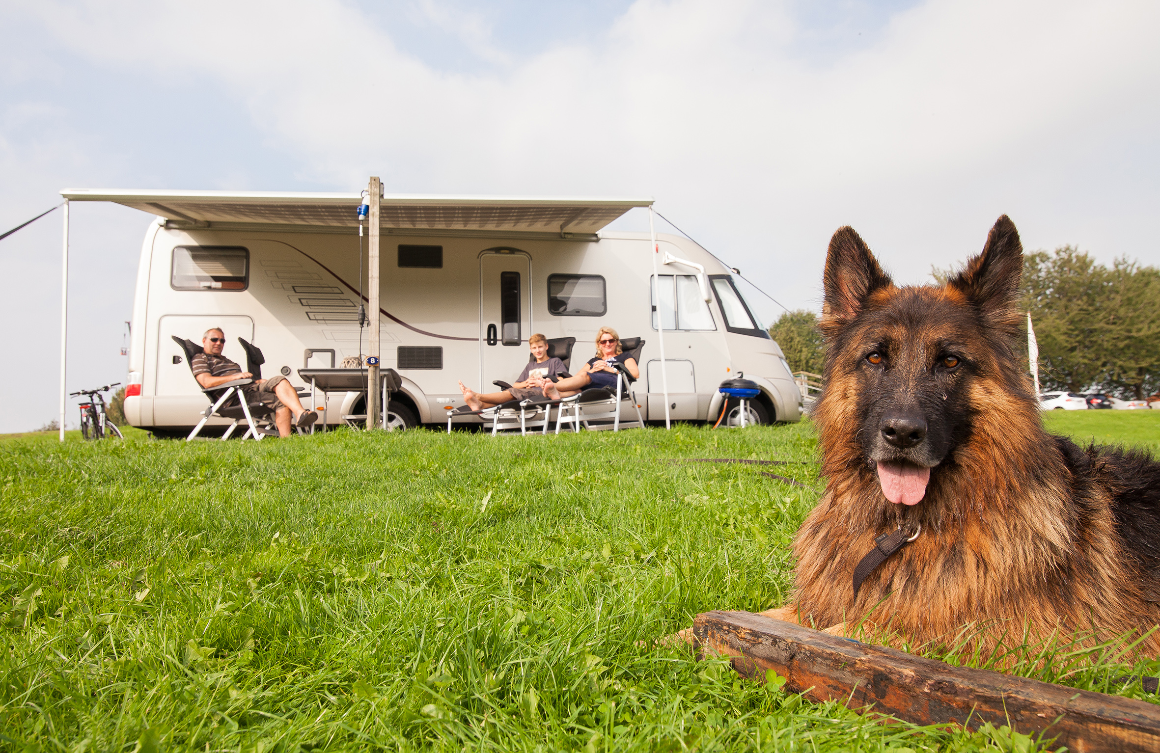 Unterkünfte Poort van Amsterdam - Camping Stellplatz - Stellplatz Komfort Camper - 3