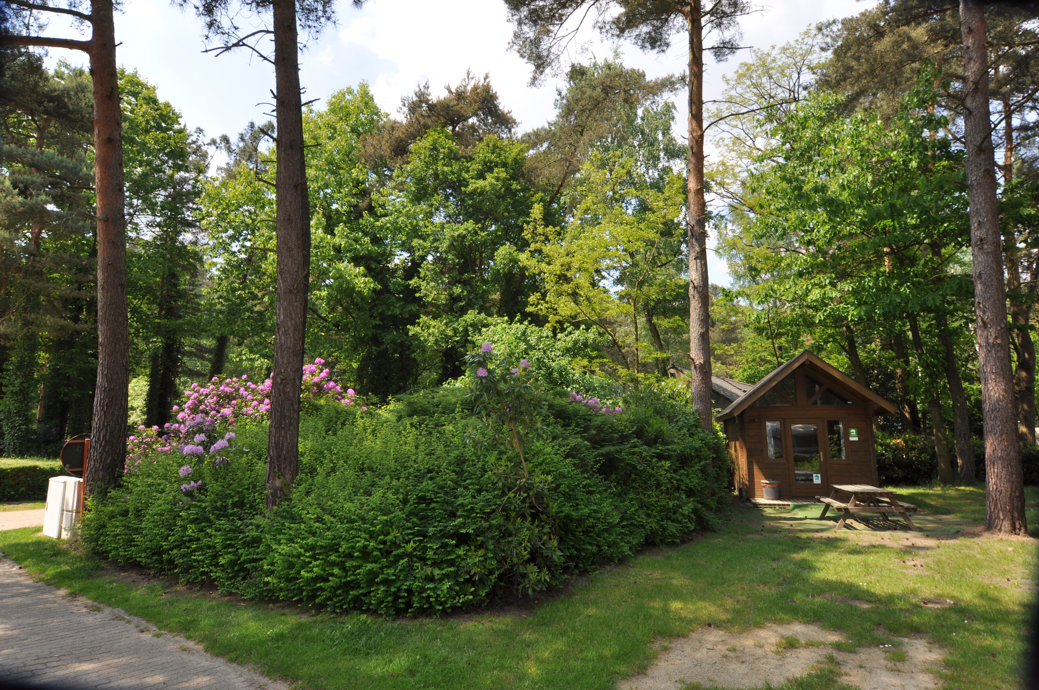 Cabane de randonneurs