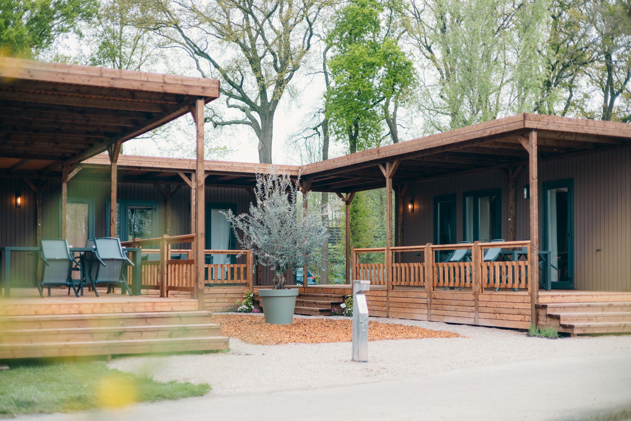 Verblijf in de Luxe Lodges op Vakantiepark de Sallandshoeve voor een uniek groepsuitje. Geniet van natuur, comfort en privacy in de Sallandse Heuvelrug.