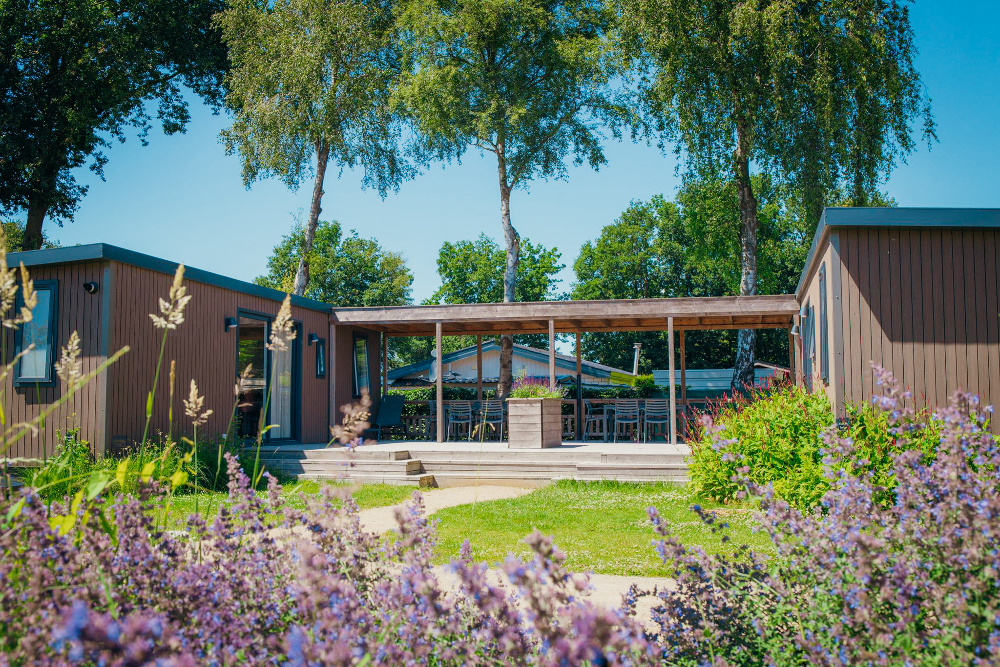 Geniet van een gezellige vakantie in de 6-persoons Familielodges op de Veluwe. Perfect voor gezinnen, met moderne voorzieningen en een ideale locatie!