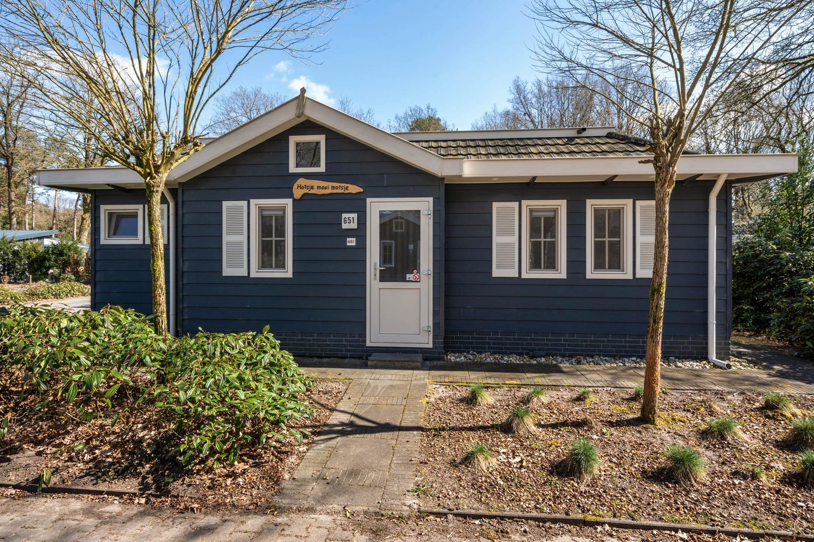 Ruim chalet met veel licht, ideaal in Drentse natuur.