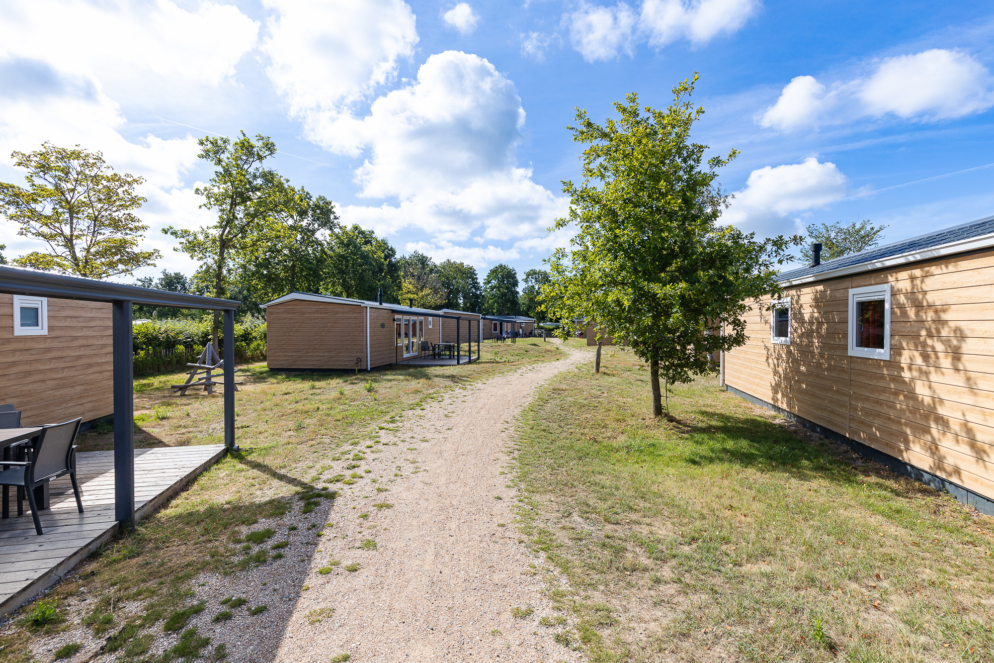 Chalet - De Duinhoeve 'Bosdier' - Maireweg 7 | Burgh-Haamstede afbeelding